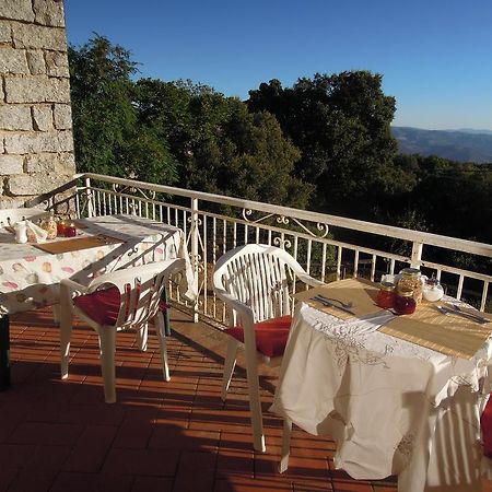 Casa Solotti Guest House Nuoro  Luaran gambar